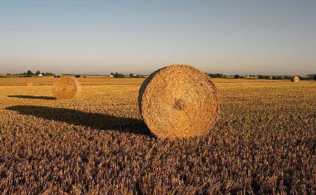 秸稈綜合利用 秸稈綜合利用