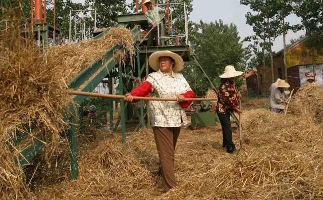 小型秸稈顆粒機(jī)對(duì)環(huán)境效益的影響 小型秸稈顆粒機(jī)對(duì)環(huán)境效益的影響