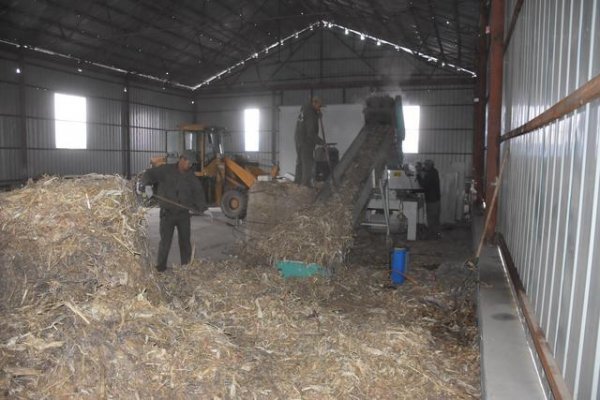 生物質(zhì)秸稈顆粒燃料 生物質(zhì)秸稈顆粒燃料