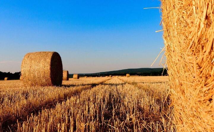 農(nóng)作物秸稈 農(nóng)作物秸稈