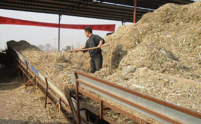 農(nóng)作物秸稈綜合利用 農(nóng)作物秸稈綜合利用