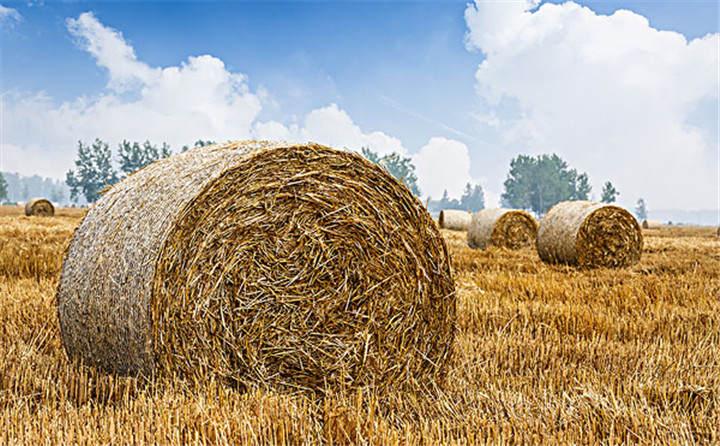 玉米秸稈顆粒機(jī)的壓縮,天然就能成型,而起會很結(jié)實 玉米秸稈顆粒機(jī)的壓縮,天然就能成型,而起會很結(jié)實