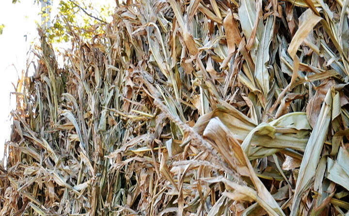 海倫市秸稈綜合利用
