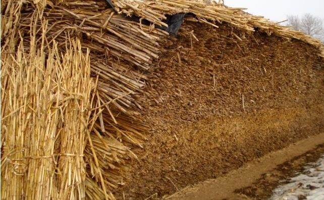 1557307393610270.jpg 3