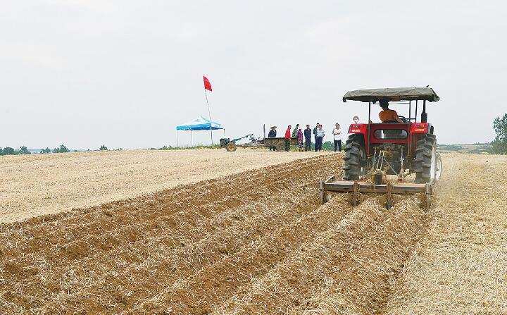 秸稈綜合利用 秸稈綜合利用