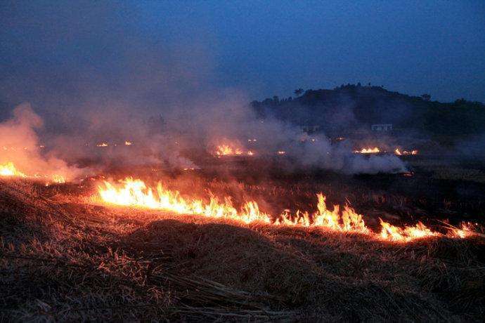 秸稈焚燒造成濃煙滾滾 秸稈焚燒造成濃煙滾滾