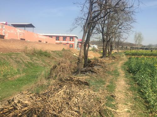 秸稈生物質(zhì)資源 秸稈生物質(zhì)資源