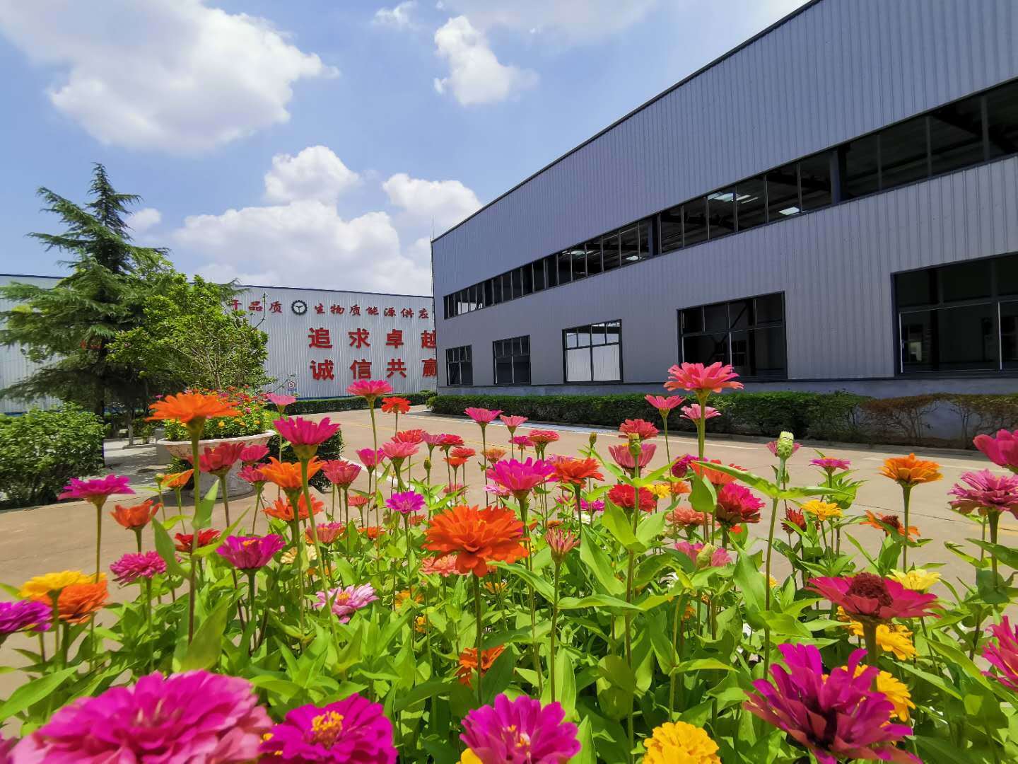 金格瑞顆粒機廠家 金格瑞顆粒機廠家