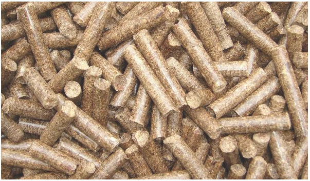 秸稈顆粒機加工的顆粒 秸稈顆粒機加工的顆粒