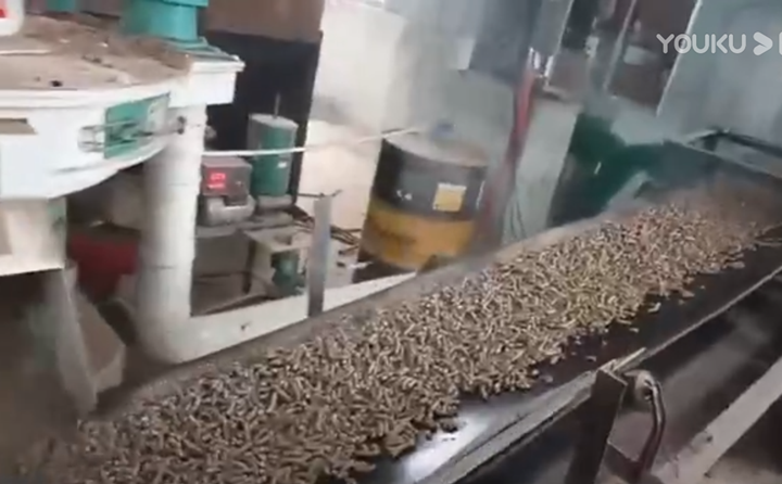 秸稈制粒機調試成功并正常生產 秸稈制粒機調試成功并正常生產