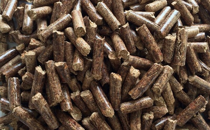 生物質(zhì)顆粒綠色燃料