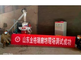 廊坊秸稈顆粒機(jī)開啟高光時(shí)刻