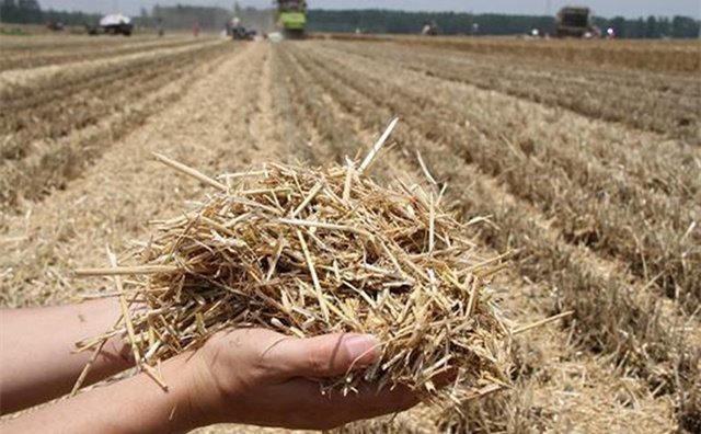 我國(guó)糧食產(chǎn)量實(shí)現(xiàn)“十七連豐” 我國(guó)糧食產(chǎn)量實(shí)現(xiàn)“十七連豐”