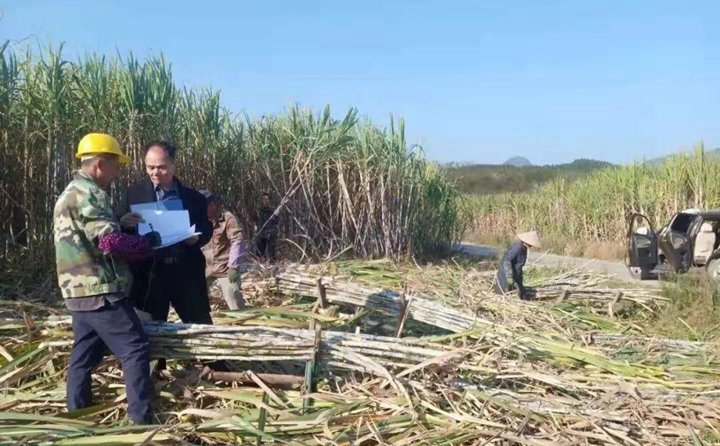 農(nóng)作物秸稈 農(nóng)作物秸稈