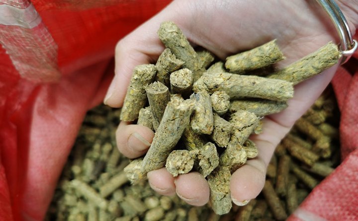 秸稈顆粒機生物質燃料化利用