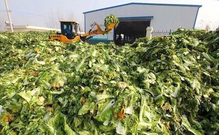 臨澤有招,變廢為寶,實現了秸稈、尾菜、畜禽糞便等廢棄物的“飼料化、菌料化、肥料化、燃料化”