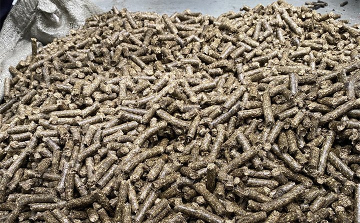 小麥秸稈還可以用秸稈顆粒機做成生物質燃料 小麥秸稈還可以用秸稈顆粒機做成生物質燃料