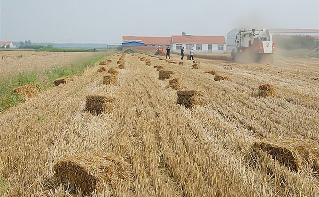 快看，內(nèi)蒙古秸稈創(chuàng)業(yè)有資金補貼了