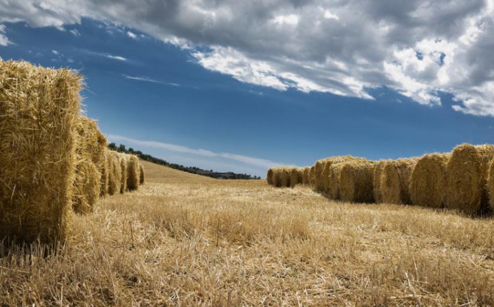 南昌縣廣福鎮助力秸稈循環利用 變廢為寶 實現三贏