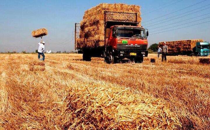 秸稈發電,清潔能源,生物質燃料