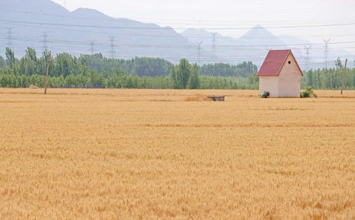 秸稈變廢為寶 秸稈變廢為寶