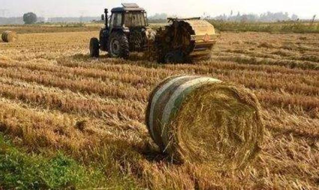 農作物秸稈利用 農作物秸稈利用