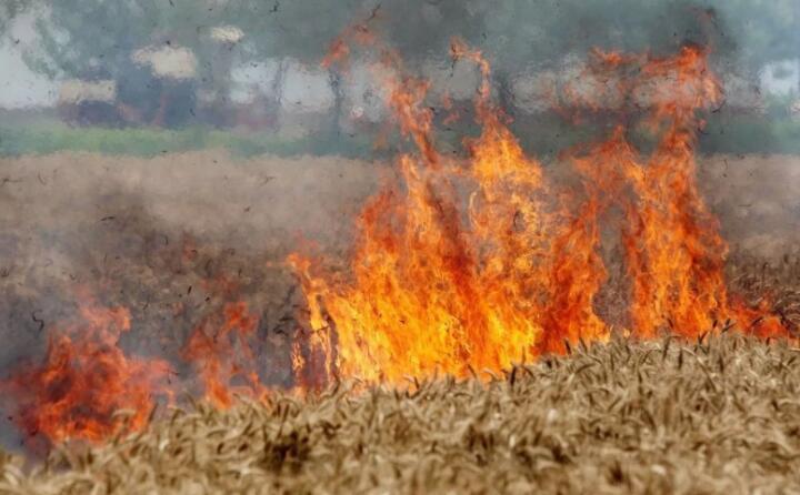 陜西省略陽縣白水江鎮2023年秸稈禁燒綜合利用 陜西省略陽縣白水江鎮2023年秸稈禁燒綜合利用