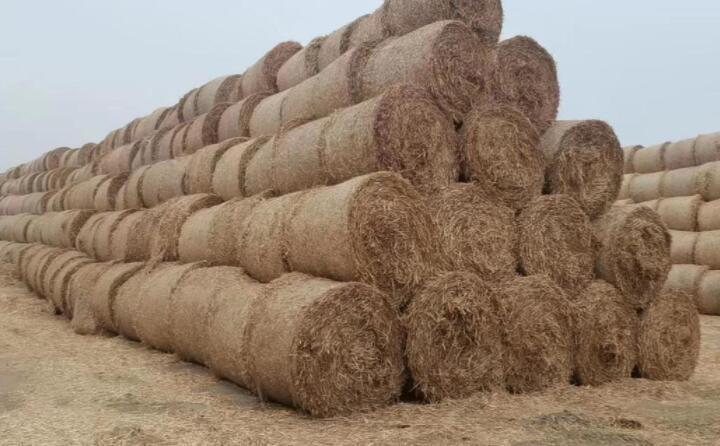 蕭縣:秸稈綜合利用“生態包袱”變“綠色財富” 蕭縣:秸稈綜合利用“生態包袱”變“綠色財富”