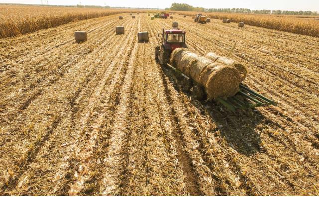 江西省永修縣投入408萬元專項資金用于秸稈項目 江西省永修縣投入408萬元專項資金用于秸稈項目