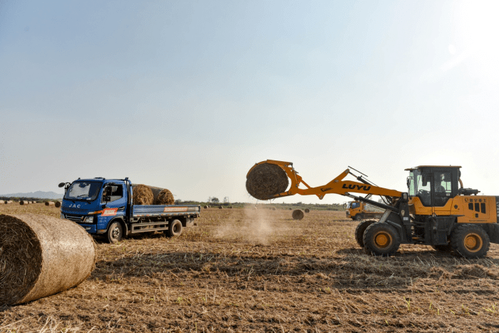 油菜秸稈綜合利用 油菜秸稈綜合利用