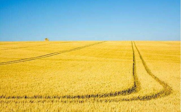 內蒙古秸稈資源的轉化與再利用成效顯著