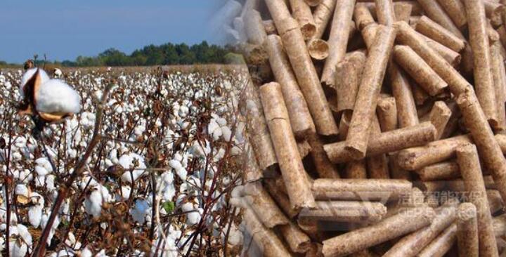 棉花秸稈高值化利用 棉花秸稈高值化利用