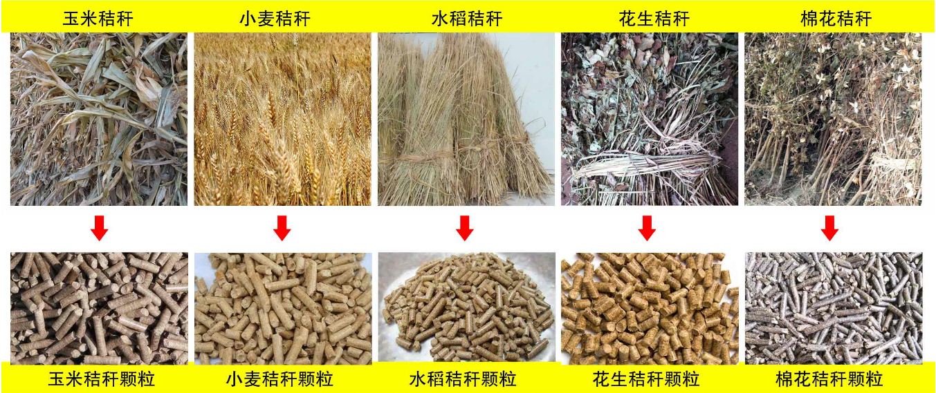 玉米秸稈、小麥秸稈等原材料