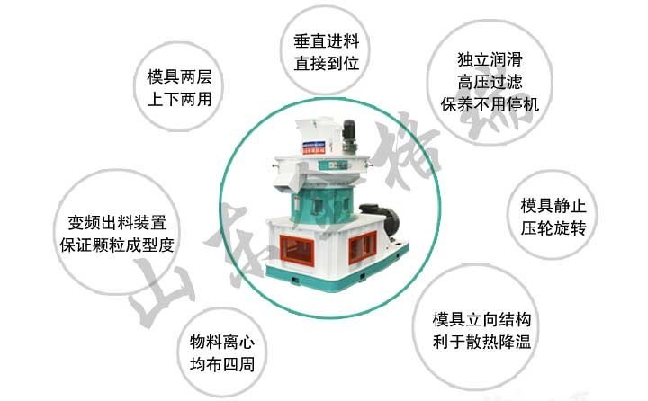 大蒜秸稈顆粒機(jī)和蒜皮顆粒機(jī)優(yōu)勢(shì)特點(diǎn) 大蒜秸稈顆粒機(jī)和蒜皮顆粒機(jī)優(yōu)勢(shì)特點(diǎn)